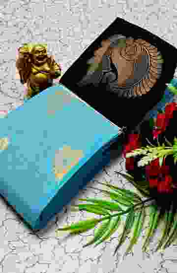 MODERN FANCY SOFT SILK SAREES WITH BUTTA DESIGN - DARK SKY BLUE (3)