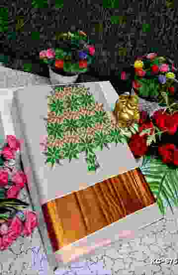 FANCY PLAIN COTTON SOFT SILK SAREES - CREAM (2)