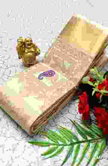 BANARASI POCHAMPALLY ALL OVER BODY SILVAR ZARI BUTTA DESIGN   FUNCTION WEAR SOFT SILK SAREES - SLATE COLOUR