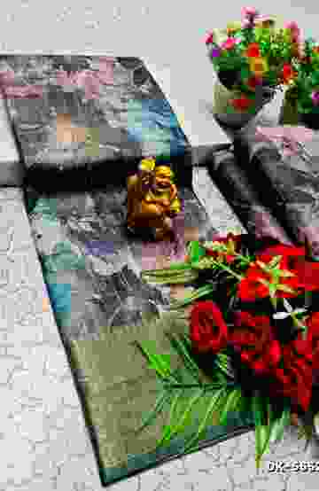 DEGITAL KARGIL PRINTED  COTTON TYPE SAREE - LEVENDOR (2)