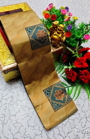 Kubera borderless elite bridal rapier fancy light weight silk type sarees function wear - SANDLE (2)