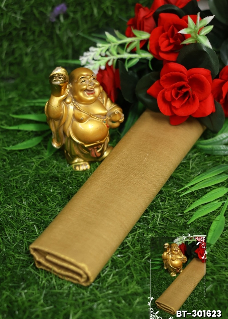 Women Tissue Blouse Piece Material ( 1 Meter ) - LIGHT SANDLE (1)