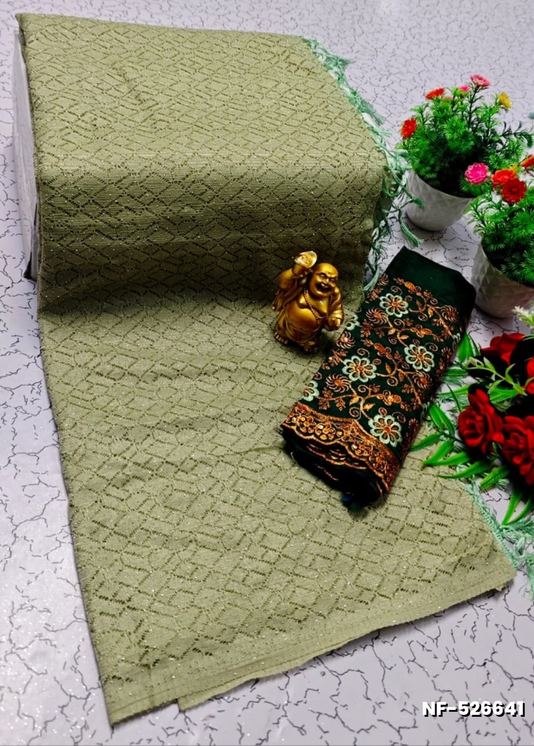 Soft Net Saree with Shimmering Weave and Designer Work Blouse - LIGHT GREEN