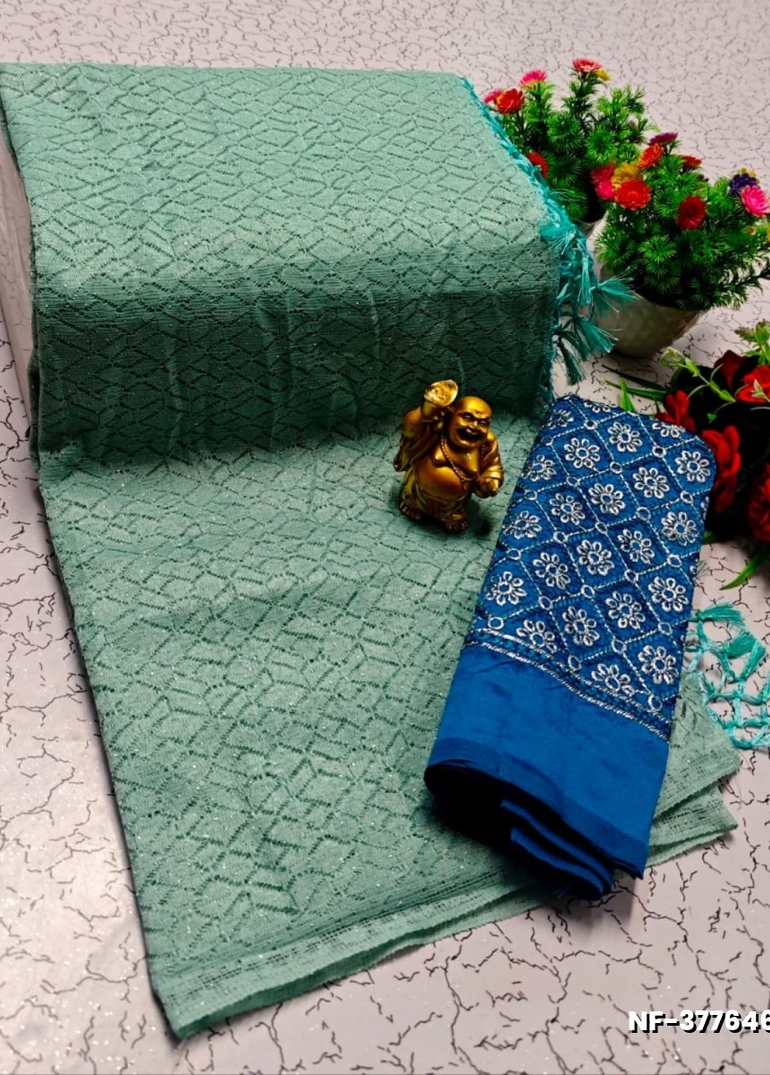 Soft Net Saree with Shimmering Weave and Designer Work Blouse - LIGHT GREEN SHADE (2)