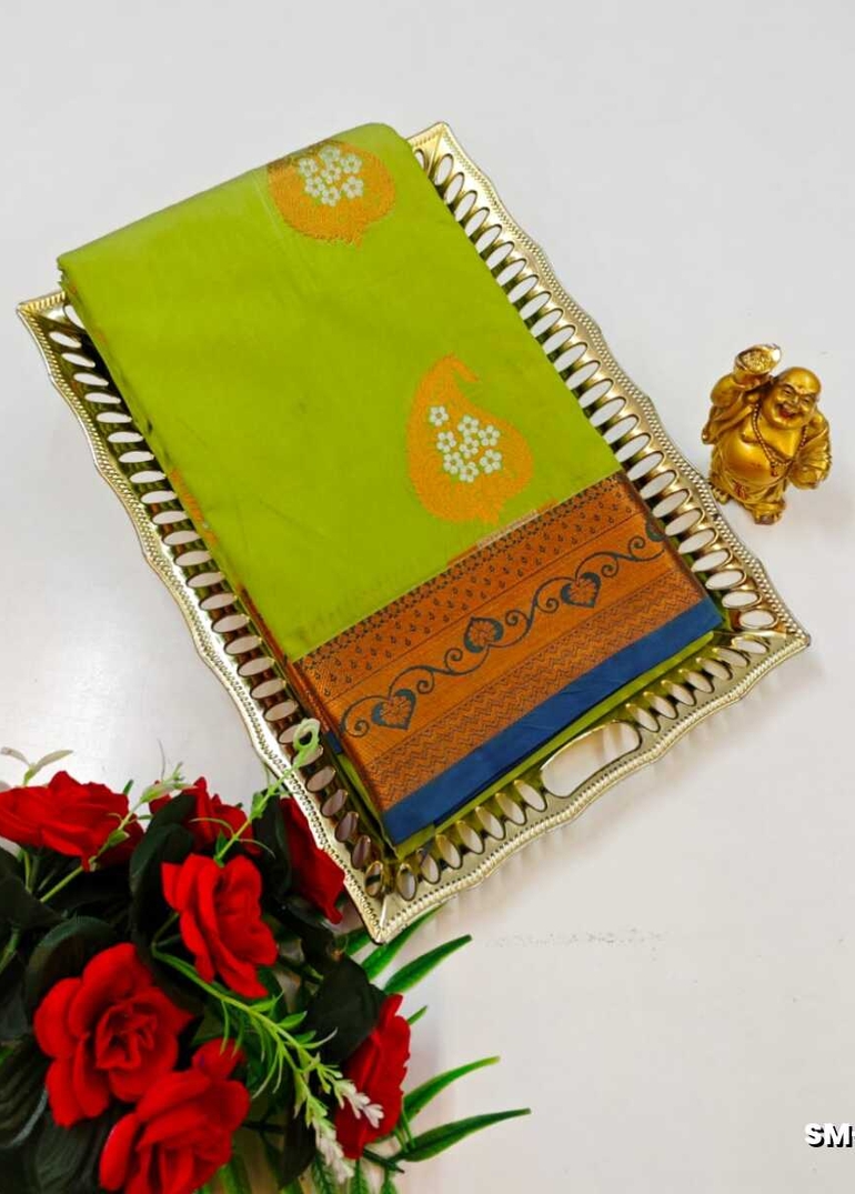 A modern take on the multi-colored nature of the meena zari work sarees - FLORAISON GREEN