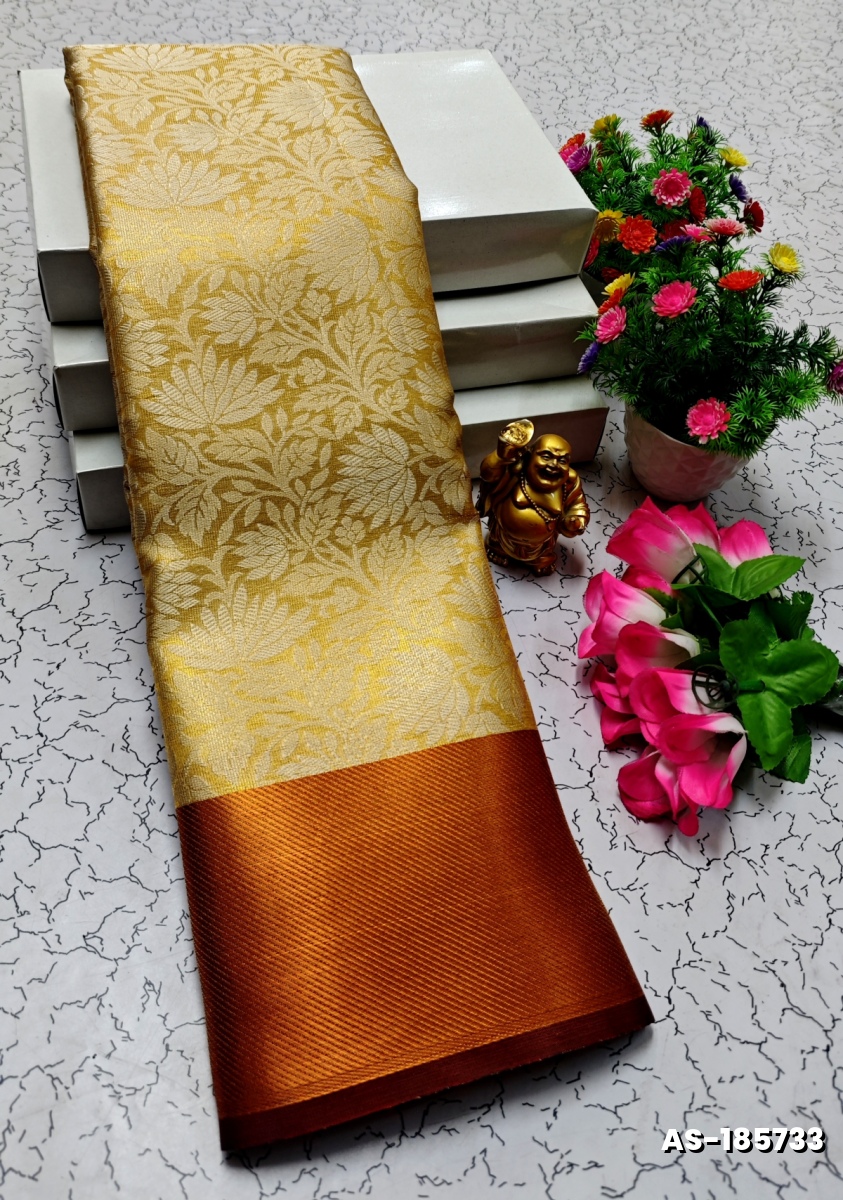 NITA AMBANI INSPIRED BANARASI TISSUE SILK SAREE - CREAM (1)