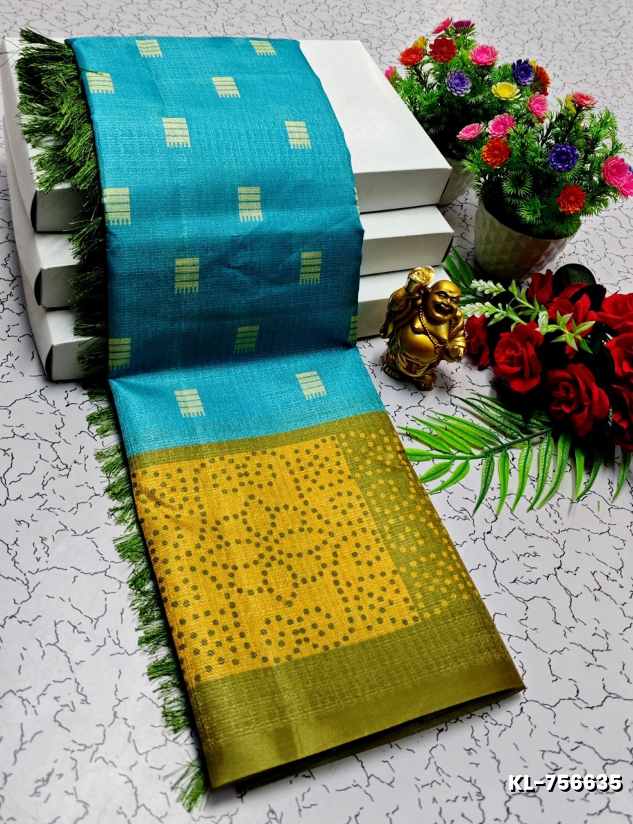 DEGITAL KARGIL PRINTED  COTTON TYPE SAREE - DARK SKY BLUE (2)